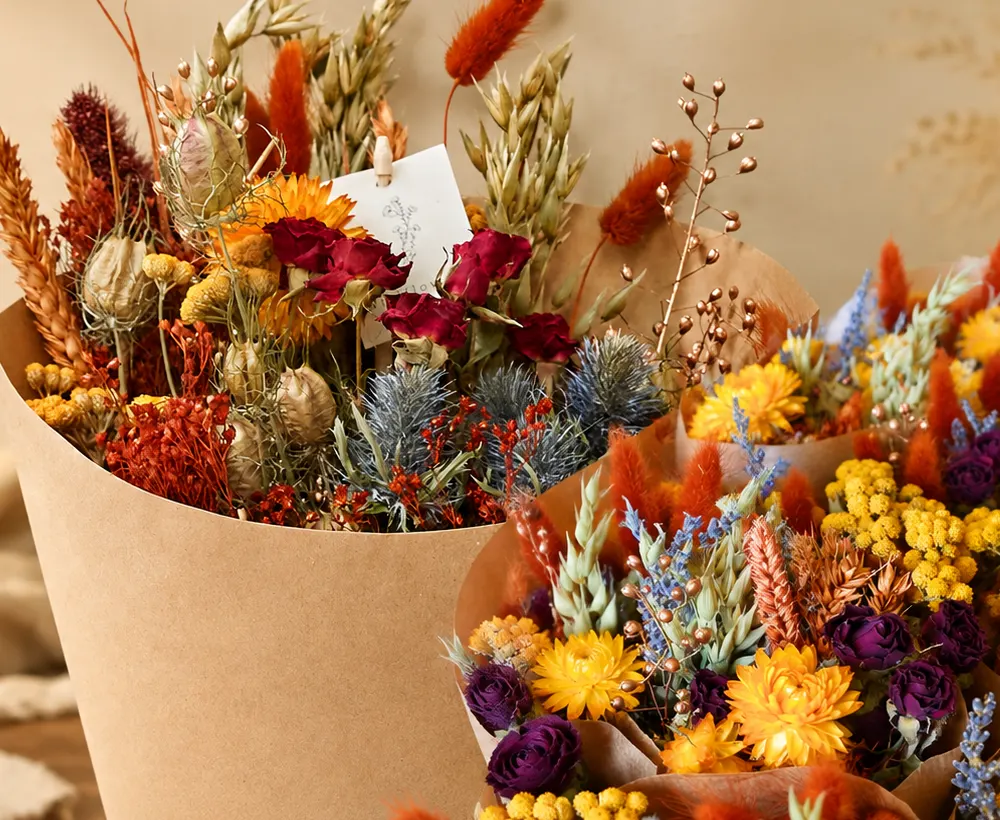 Harvest Sunset Collection